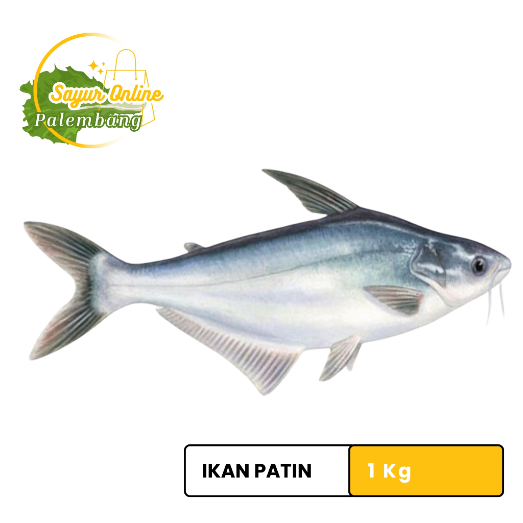 

Ikan patin fresh 1 Ikg - Sayur online palembang