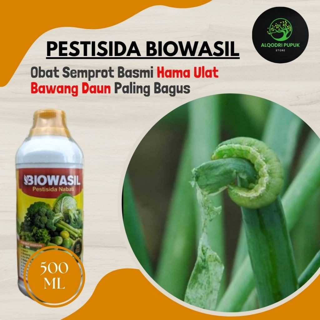 Pupuk Pestisida ulat bawang daun terbaik - BIOWASIL 500ML - Obat Semprot Atasi Ulat Bawang Daun pali