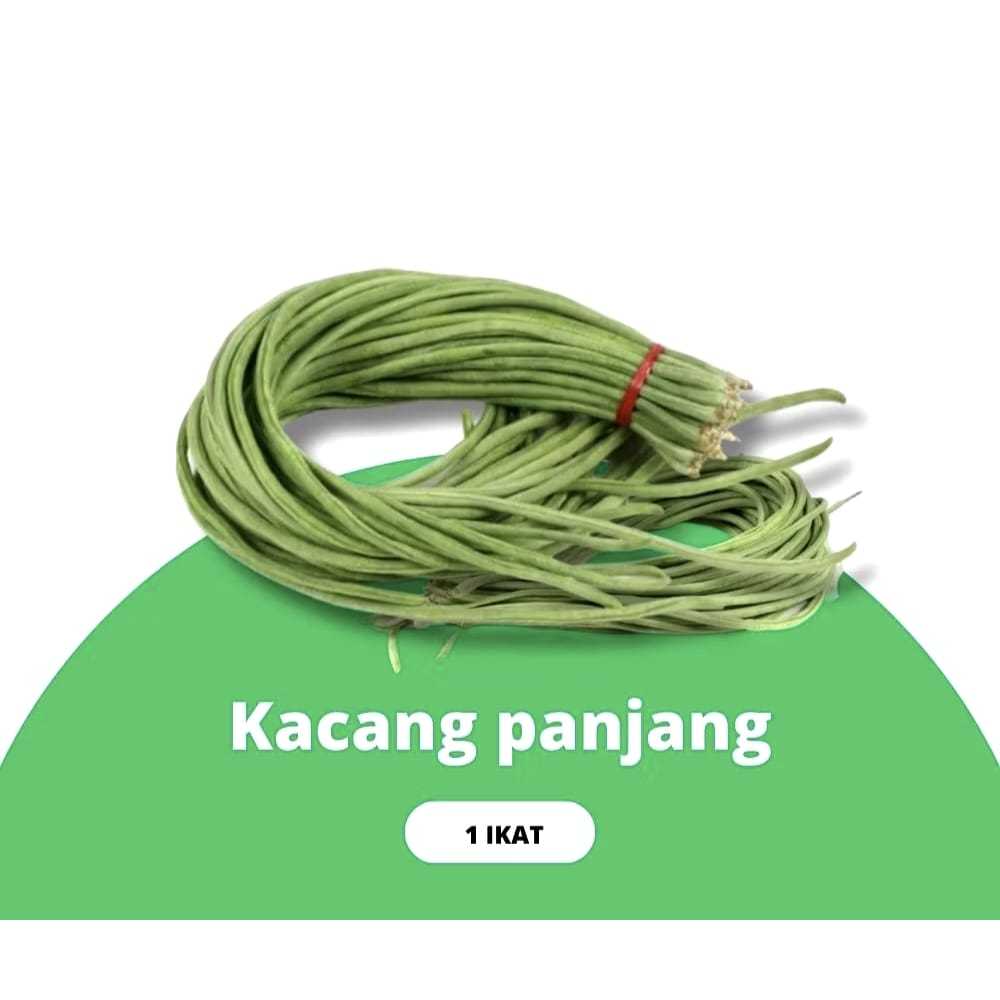 

KACANG PANJANG 1 IKAT