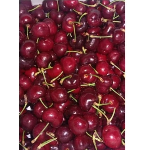 

buah Cherry red Australia 300gr segar bisa kirim instant