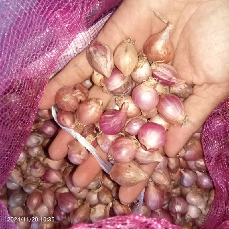 

Bawang Merah kecil/ulek 500g