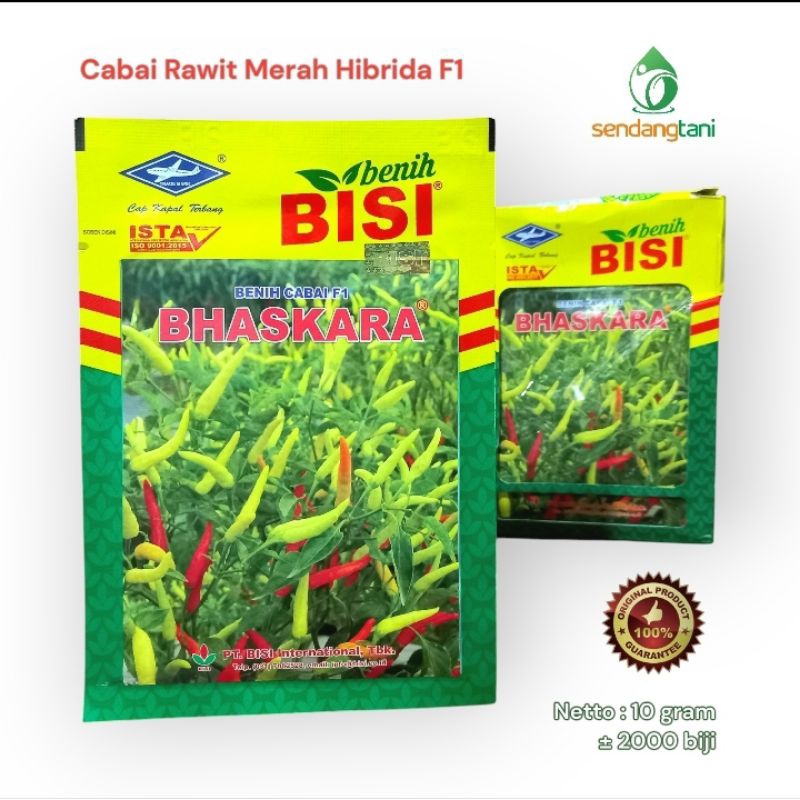 BHASKARA F1 10 gr Benih Bibit Cabe Rawit Merah Hibrida dari Bisi Cap Kapal Terbang