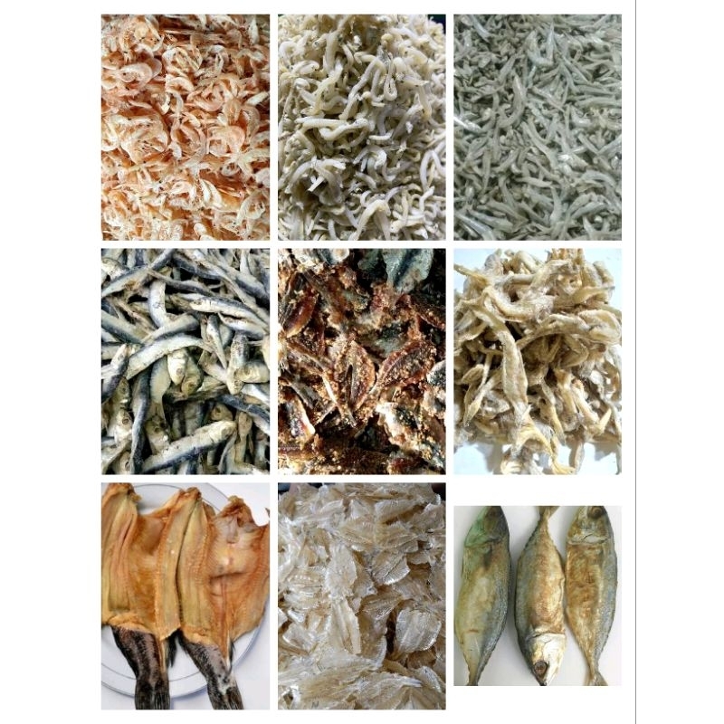 udang rebon | teri Medan | teri jengki| ikan asin japuh | ikan asin dendeng | Jambrong| gabus | ikan