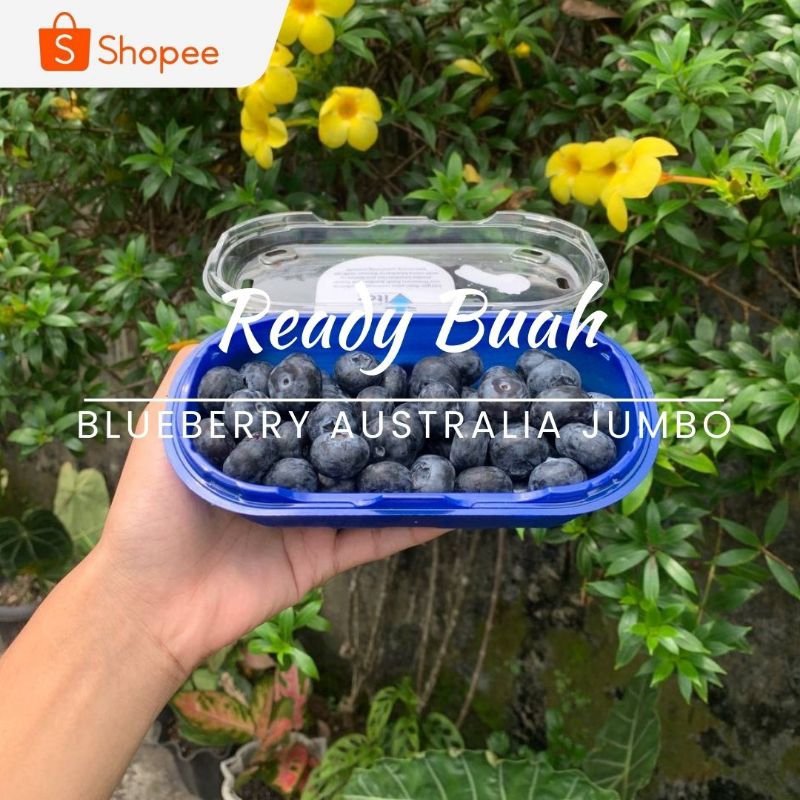 

Blueberry Australia Jumbo/ PACK