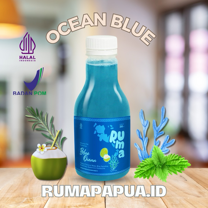 

RUMA Kombucha Ocean Blue - 250ml