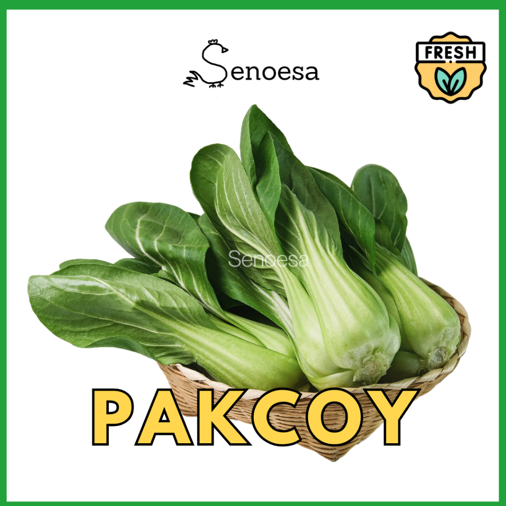 

(FRESH INSTAN) Pakcoy / Bhok Choy 1 Pack 250 gr