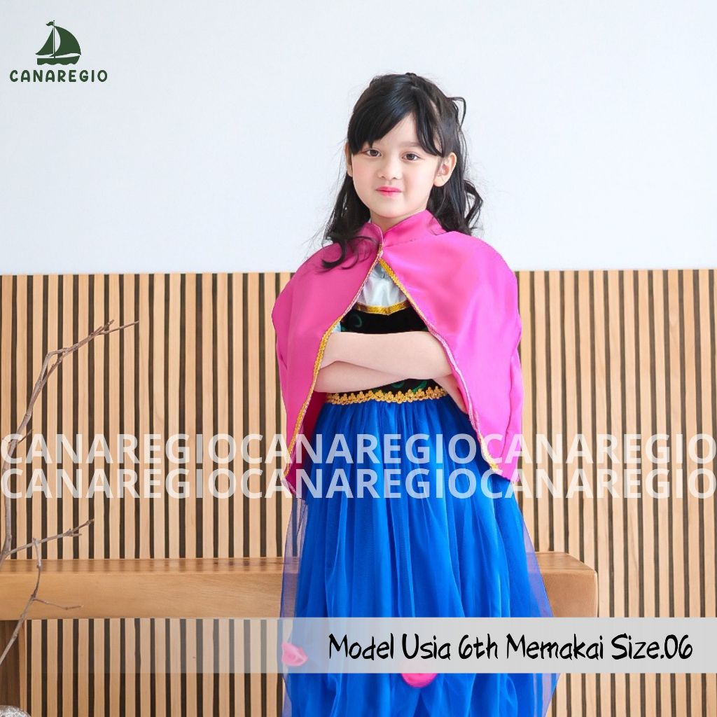 Anna Frozen Disney Anna Kostum Anna Elsa