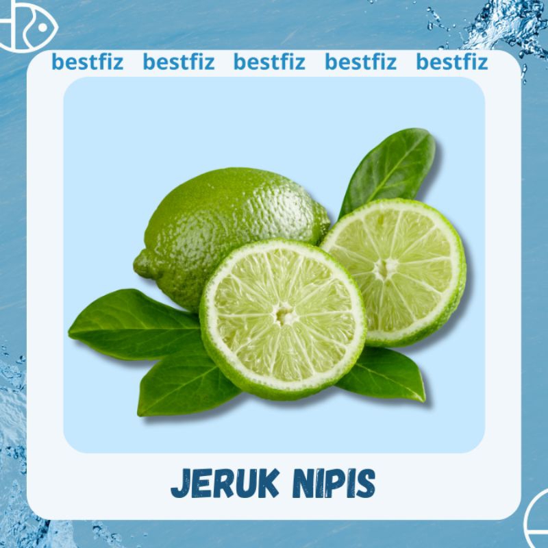 

Jeruk Nipis