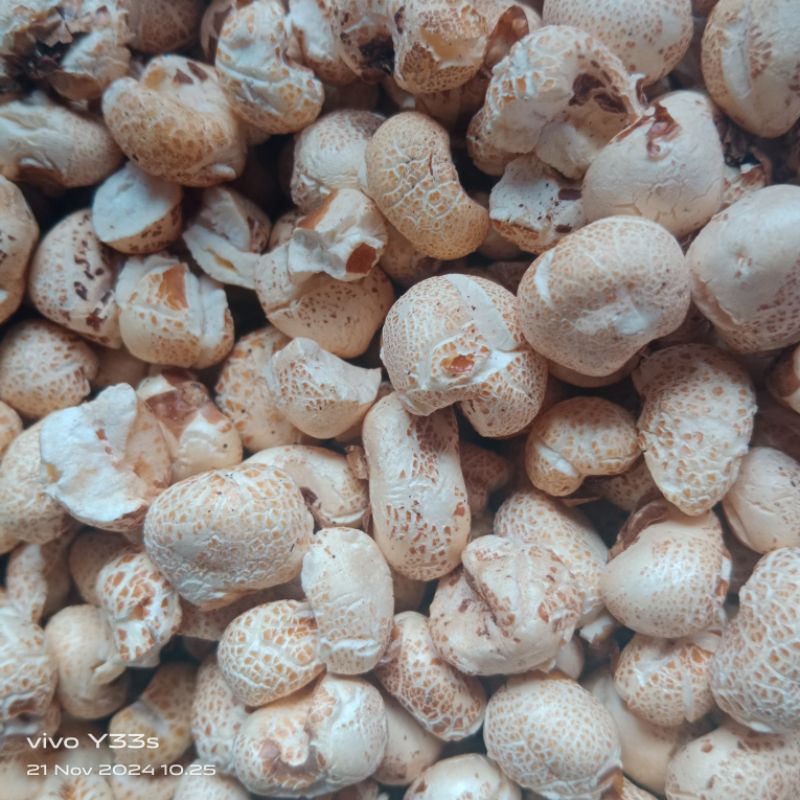 

BRONDONG JAGUNG/BENNO KHAS BUGIS POPCORN 150 GRAM