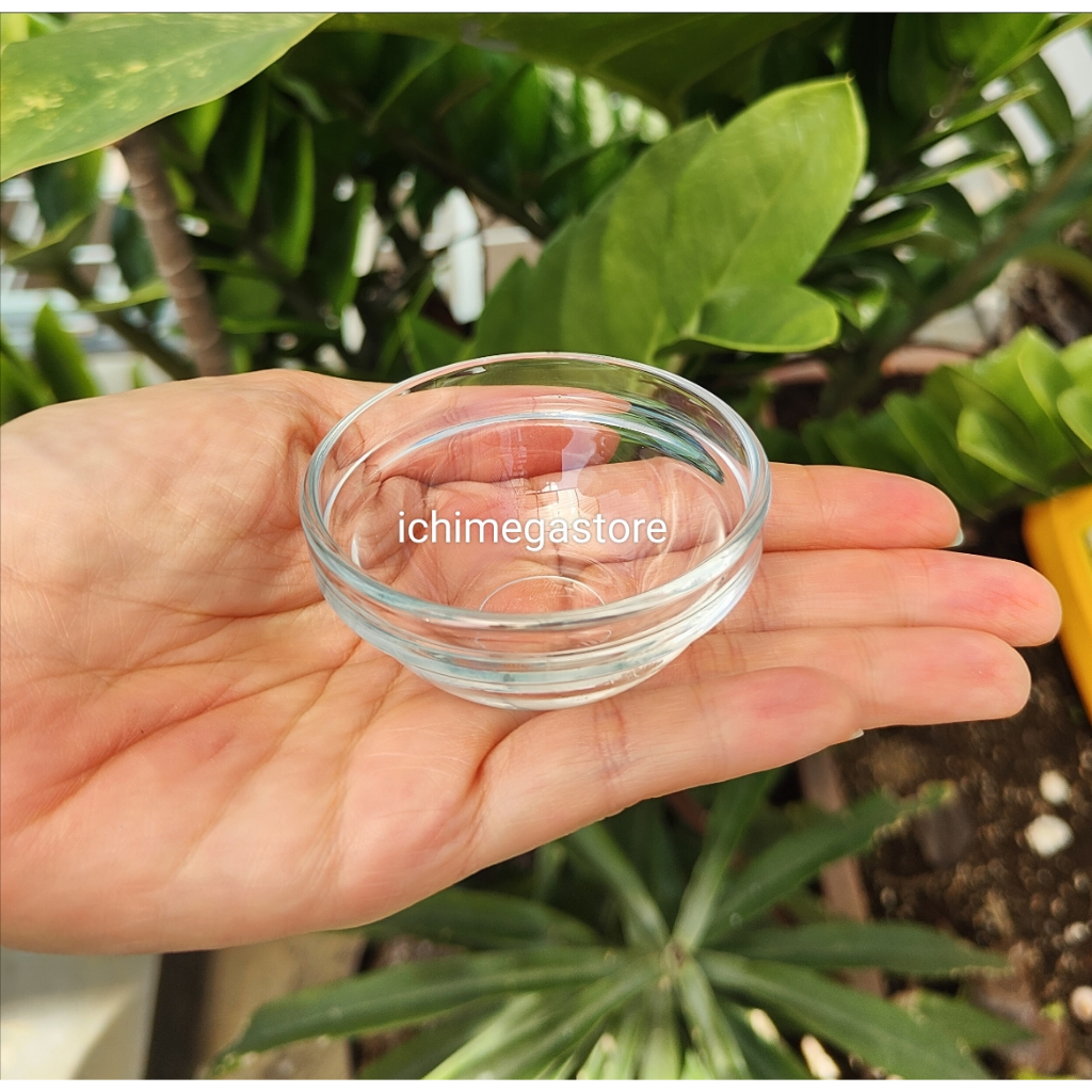 ICHIMEGASTORE Mangkuk Super Mini Kaca Tiny Glass Bowl