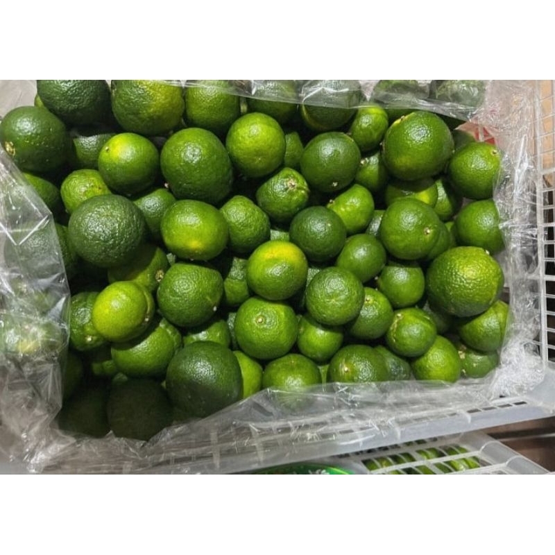 

Jeruk Shantang Hijau Madu 1 Kg