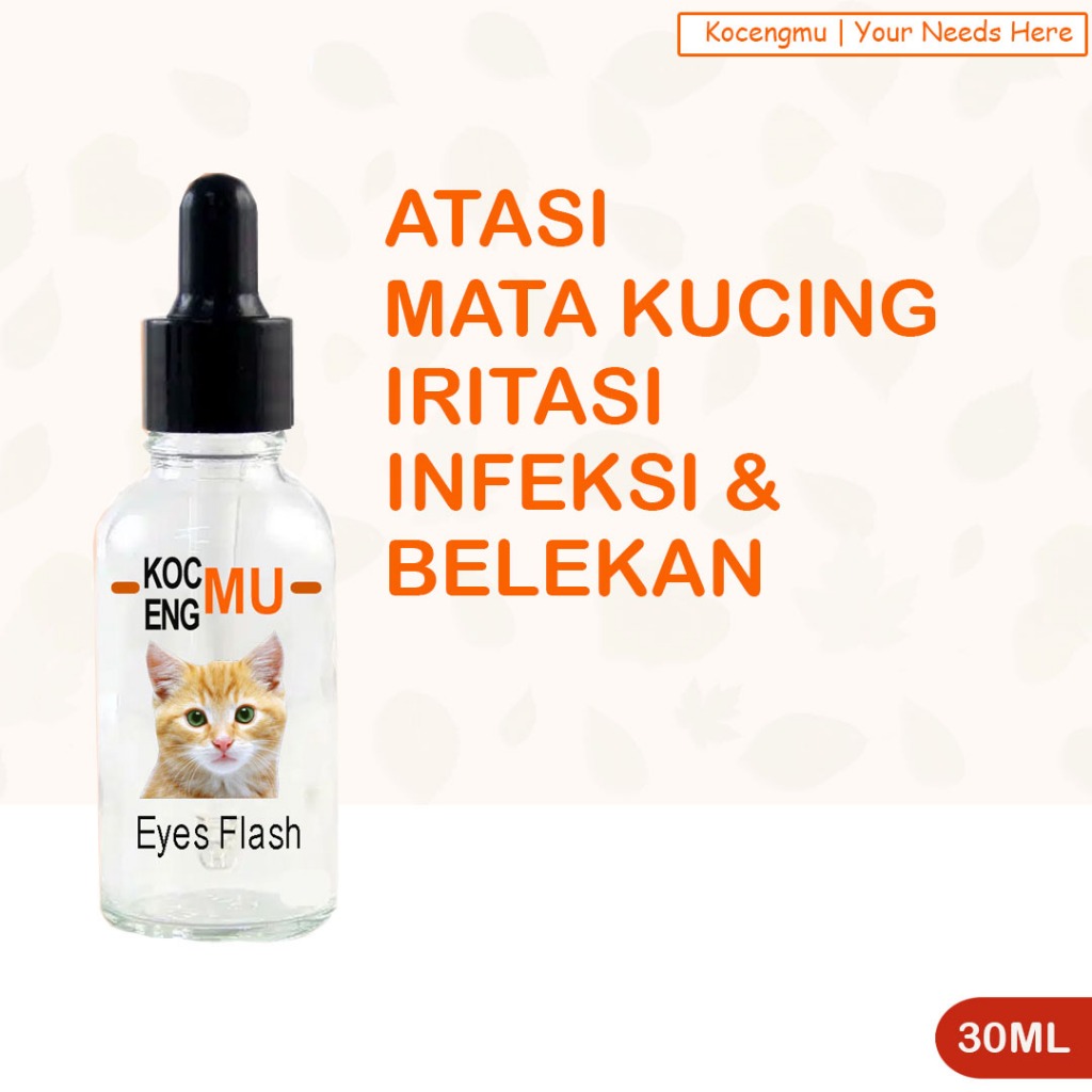 Tetes Mata Kucing Obat Mata Kucing Obat Tetes Mata Kucing Kocengmu