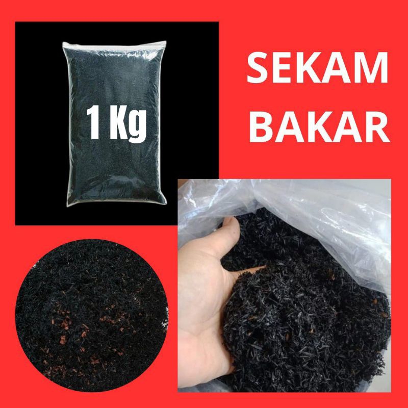 JAMIN ASLI.. Sekam Bakar Murni, Sekam Bakar Murni Halus