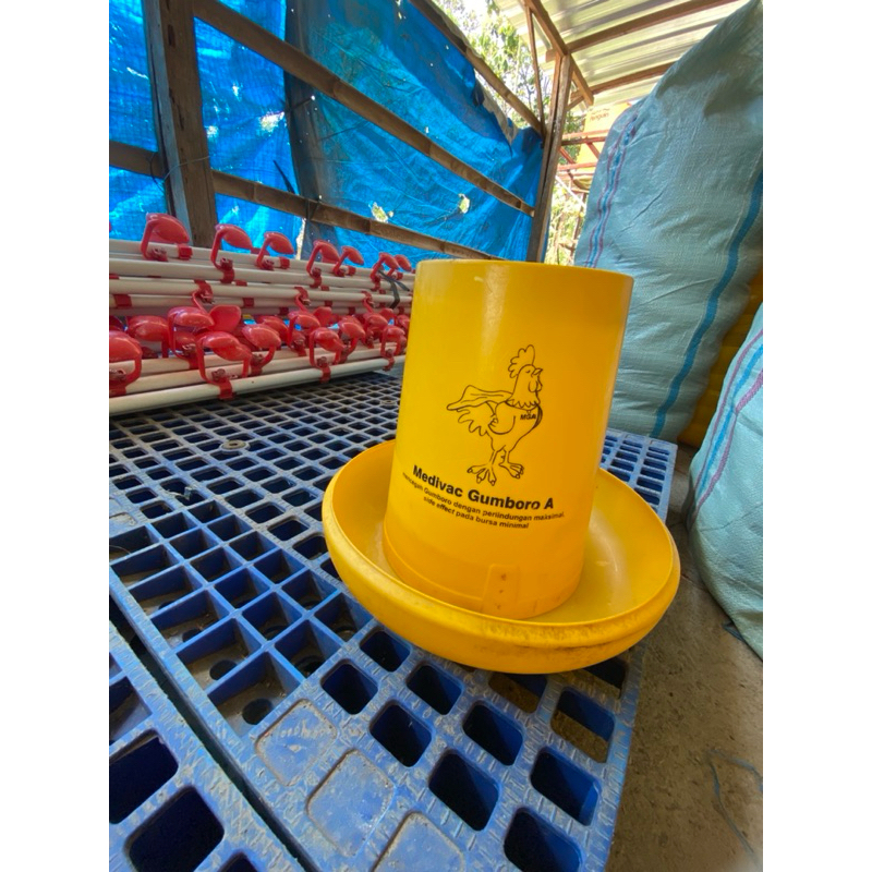 tempat pakan ayam medion