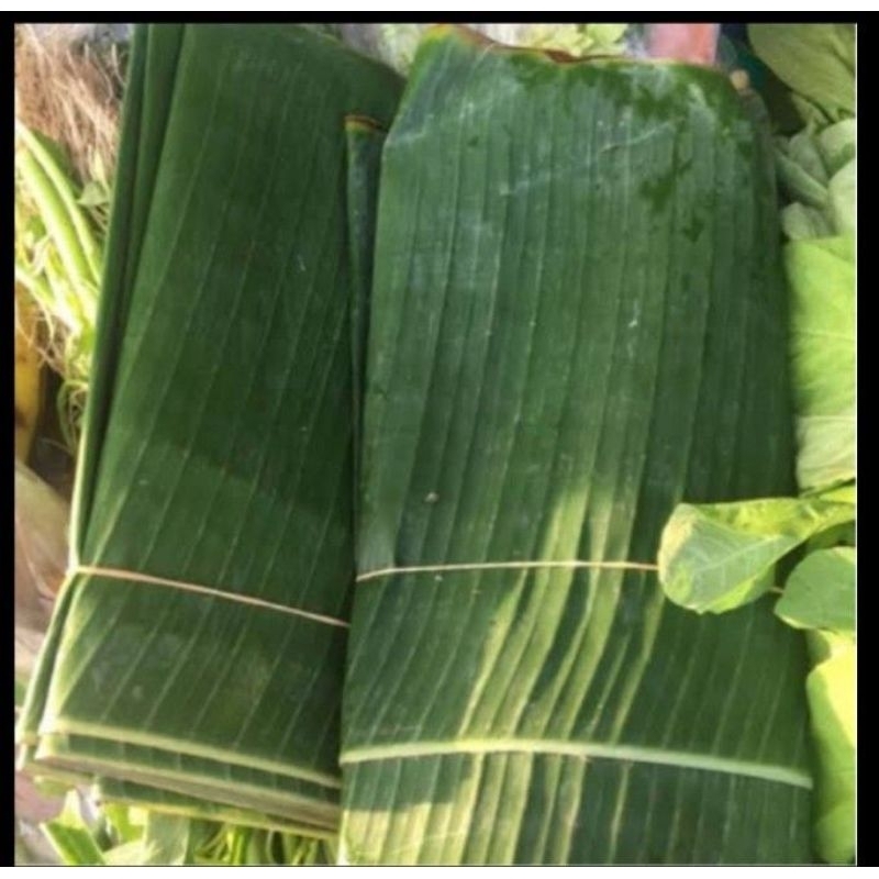 

daun pisang multi pungsi 1kg