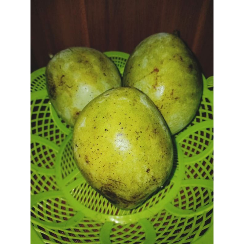 

Mangga Indramayu
