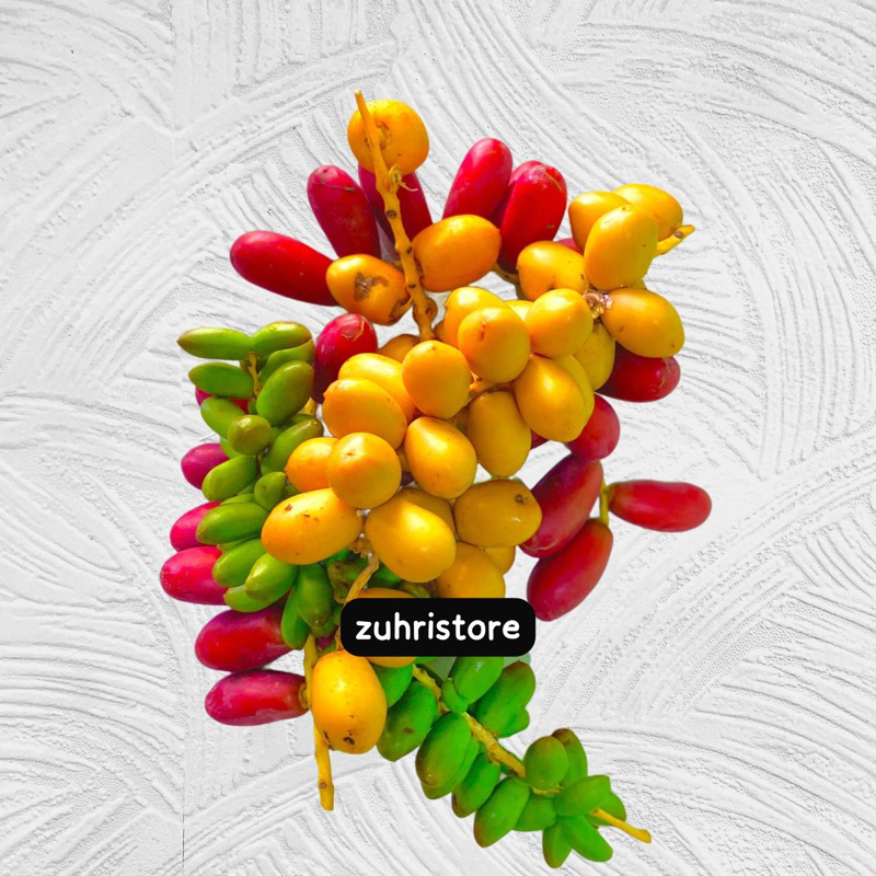 

KURMA MUDA MANIS SEGAR MIX