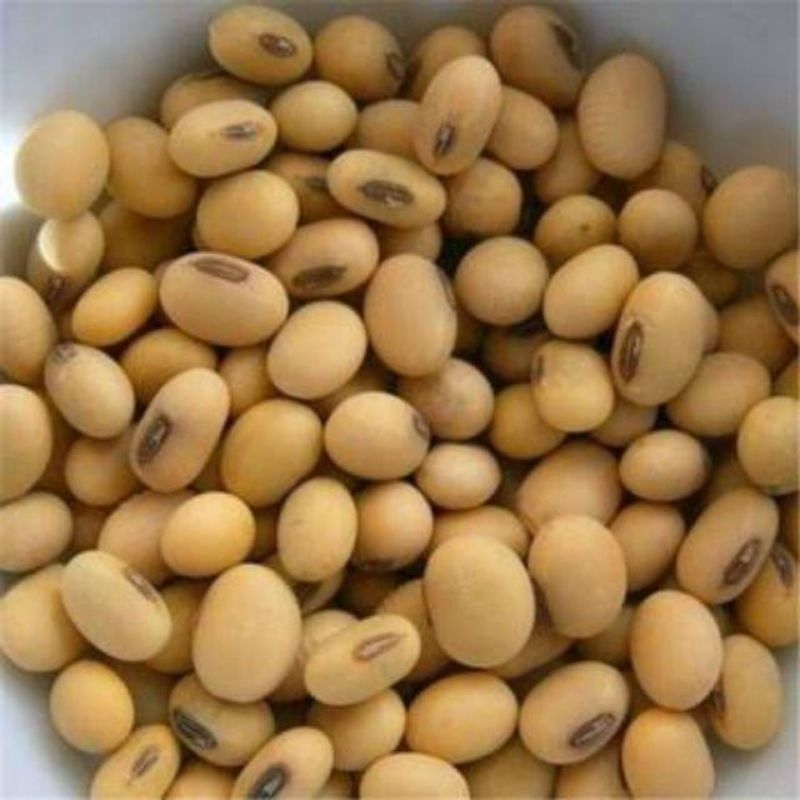 

Kacang Kedelai Import (250 Gram) / Soy Bean