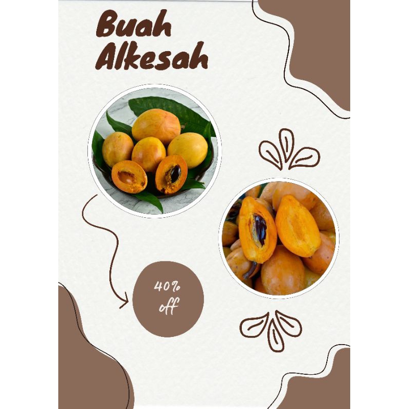 

buah alkesah sawo mentega kemesan 1 kg manis legit bisa cod