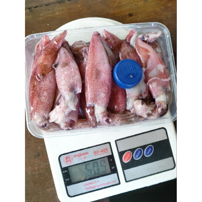 

Cumi cumi segar 500grm