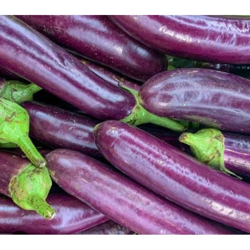 

SAYUR FRESH - TERONG UNGU 500gram