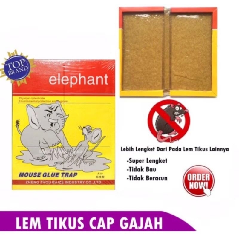 Mouse glue Trap Elephant ecer