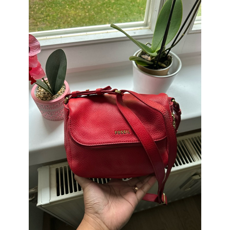 tas fossil second original