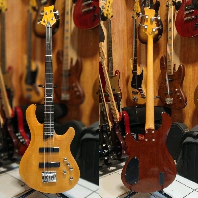 Bass Dame Neo Clasicsm Aktif