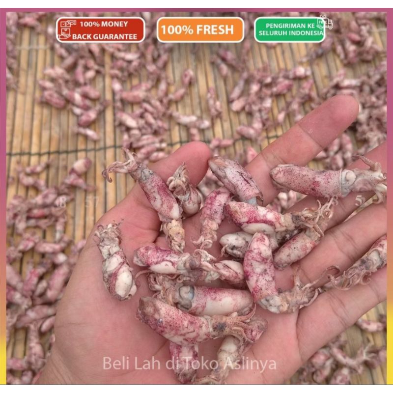 

IKAN ASIN BABY CUMI,CUMI ASIN 850gr