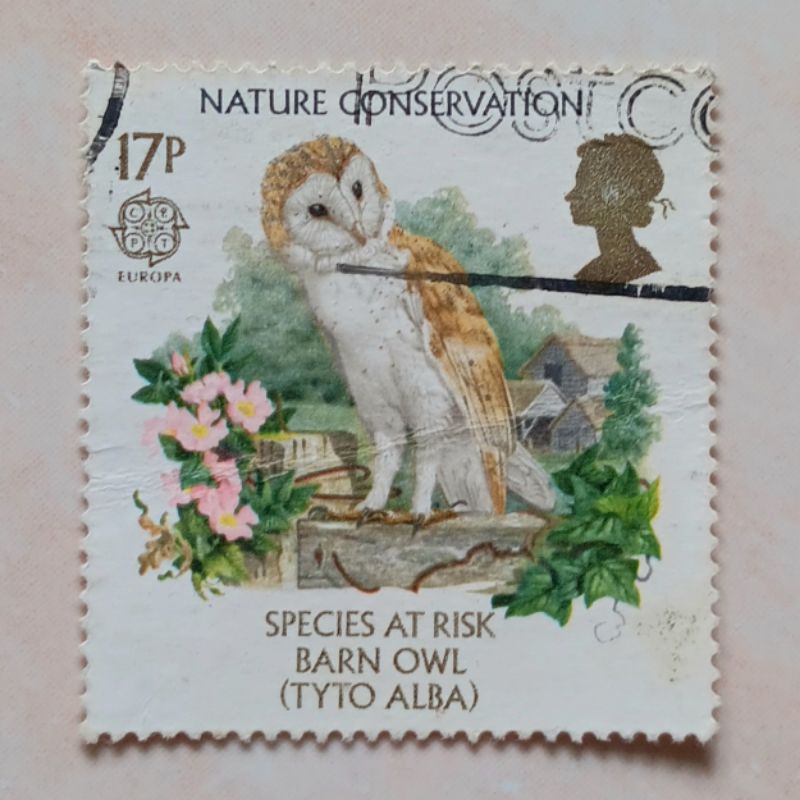 

(AA) Perangko Inggris Britania Raya Europa (C.E.P.T.) 1986 - Protection of the Environment - Common Barn Owl (Tyto alba) 17p Used