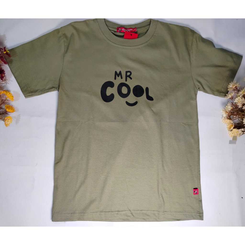 Baju anak domino kids 2527