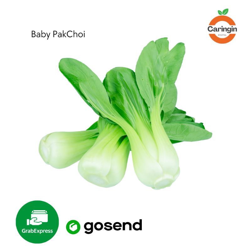 

Baby PakChoi 1kg