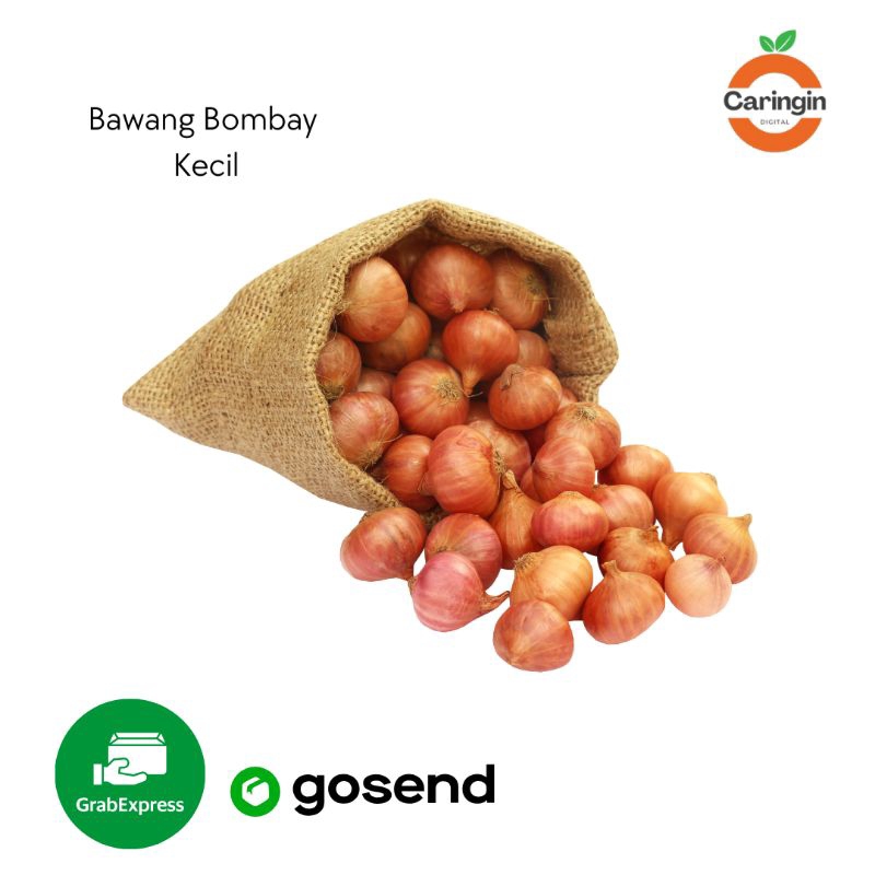 Bawang Bombay Kecil 1kg