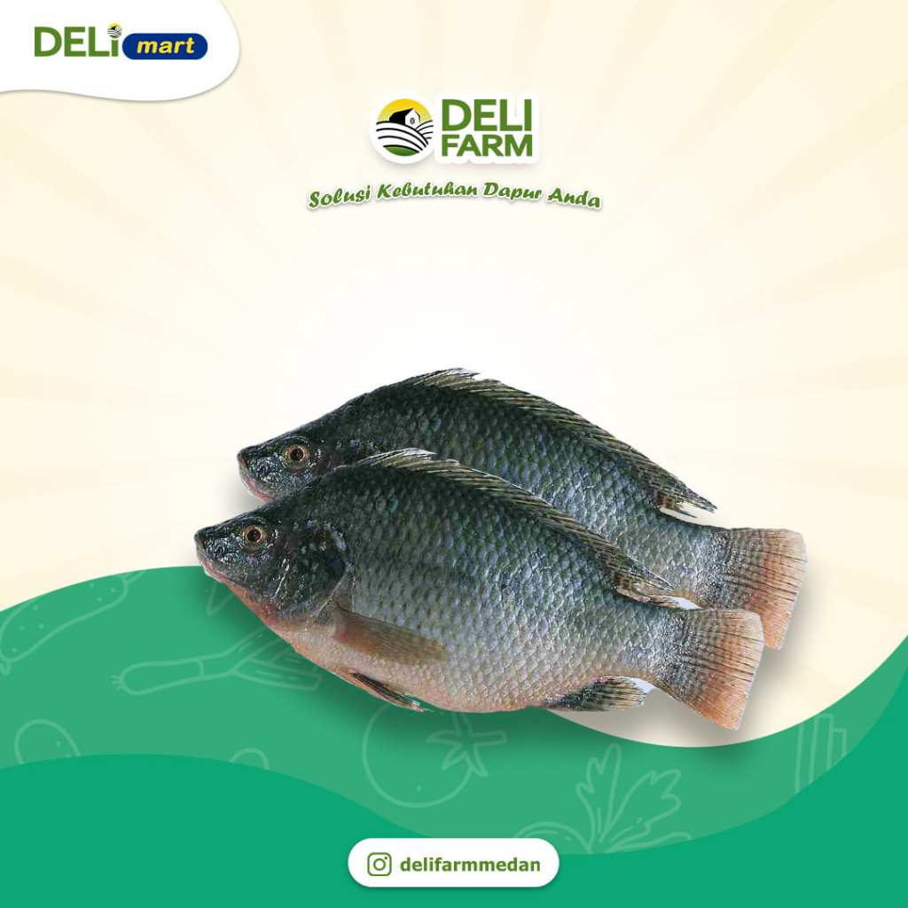 Deli Mart [ Khusus INSTAN Medan ] Ikan Nila Segar by Deli Farm