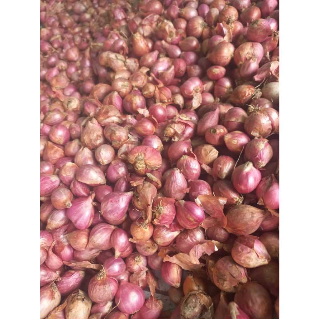 

BAWANG MERAH SUPER B 500GR