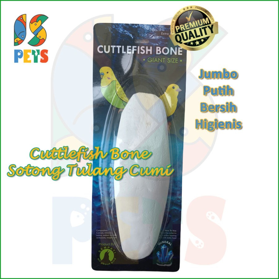 Cuttlefish Bone Tulang Sotong Cangkang Asinan Cumi Premium Super Jumbo