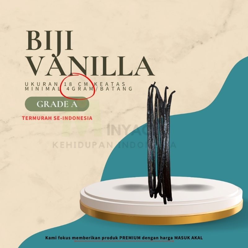 

Biji Vanilla Grade A, ukuran 18 cm keatas, 1 vot/batang