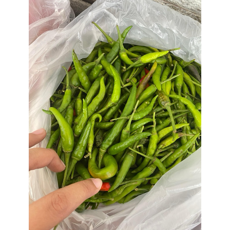 

Cabe Rawit hijau per KG