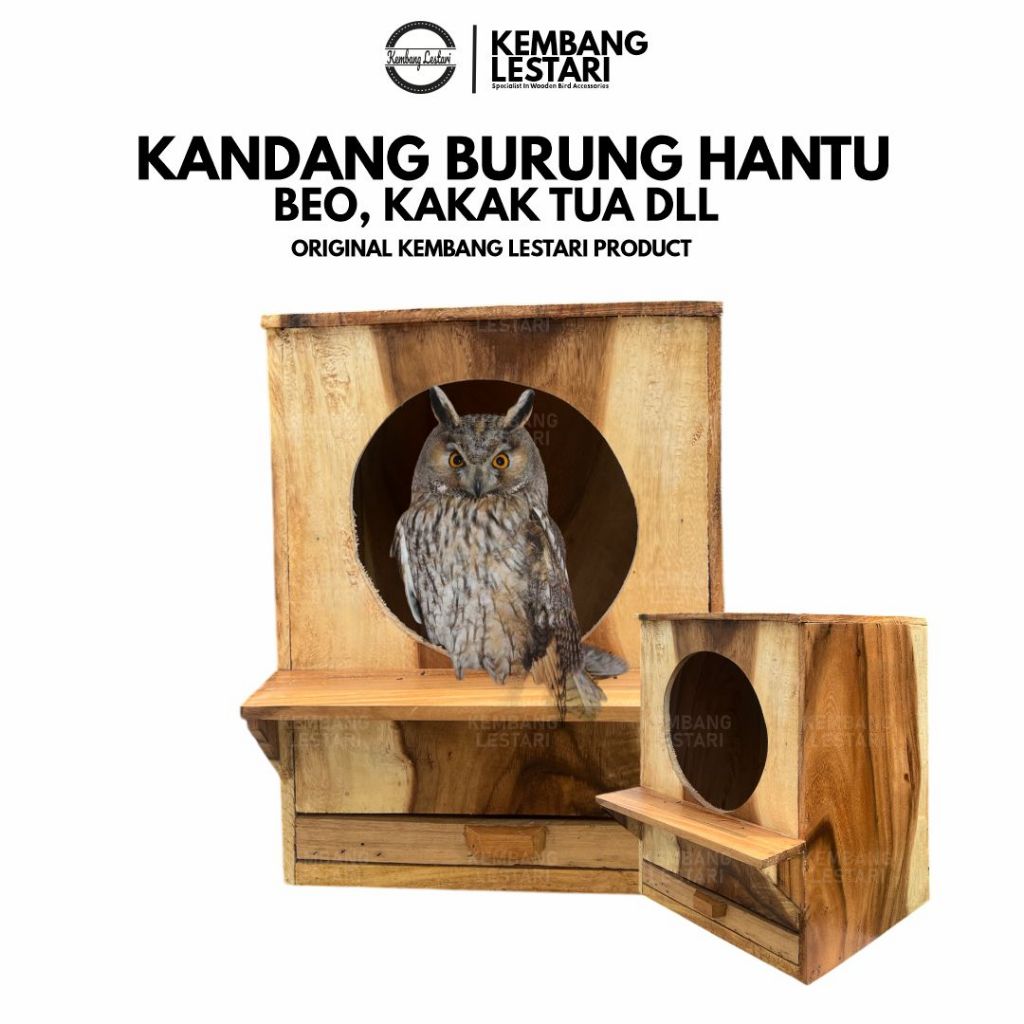 kandang burung hantu beo kakak tua Glodok Burung Rumah Aviari