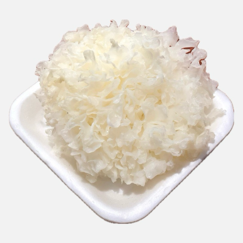 

Xtra Jamur Salju 100gr