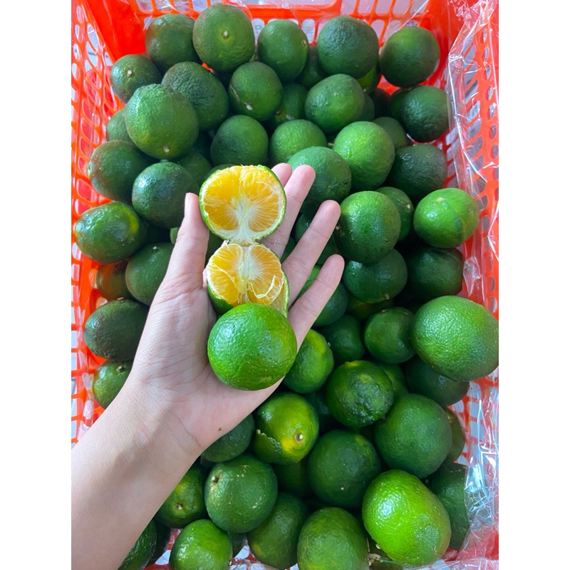 

jeruk greenchi manis /kg