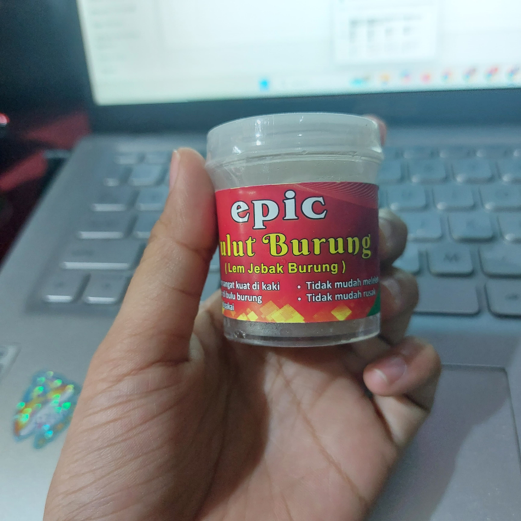 (epic) Pulut Burung Lem Jebak Burung