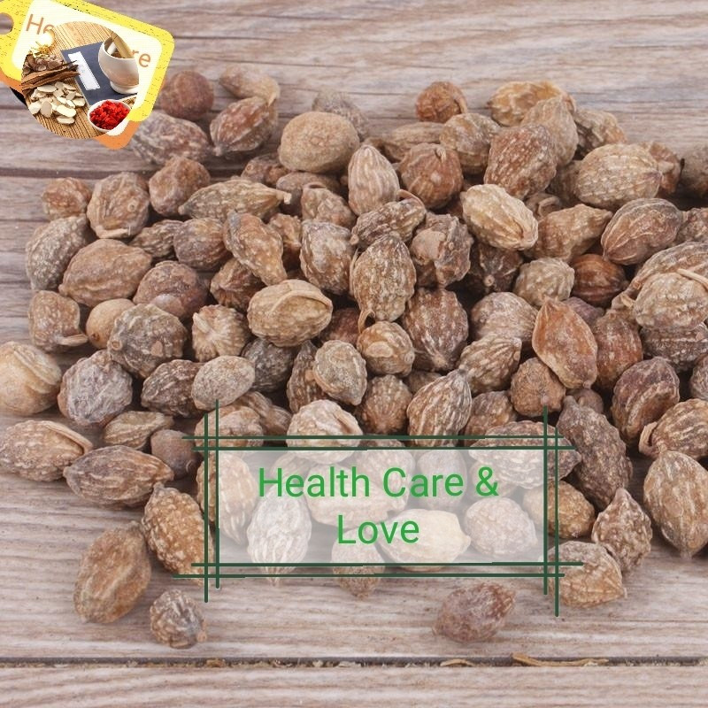 

Yi Zhi Ren 益智仁 Black Cardamom Alfinia Fruit 50 Gr