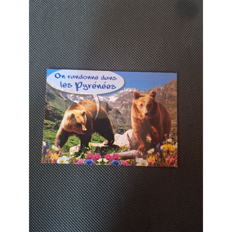 

kartu pos beruang/bear postcard