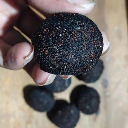 Batu | media tanam Wabikusa aquascape Tanaman air Aksesoris Pajangan aquarium Hias Hiasan Akuarium I