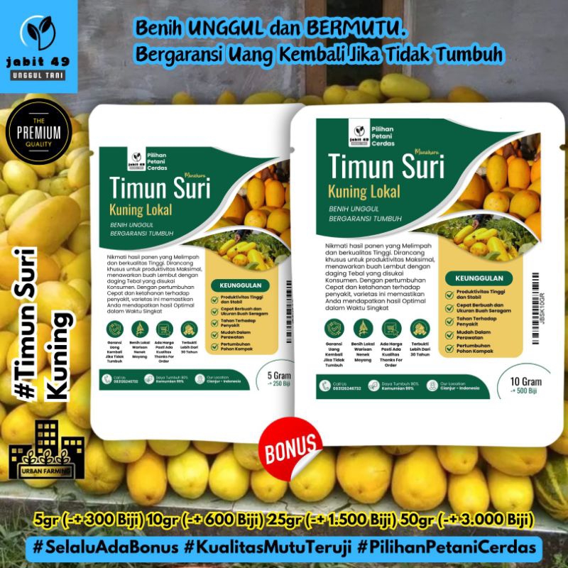 JaBit - 10gr Benih Unggul Timun Suri Kuning Lokal 500+ Biji Bibit Unggul Timun Suri Manohara