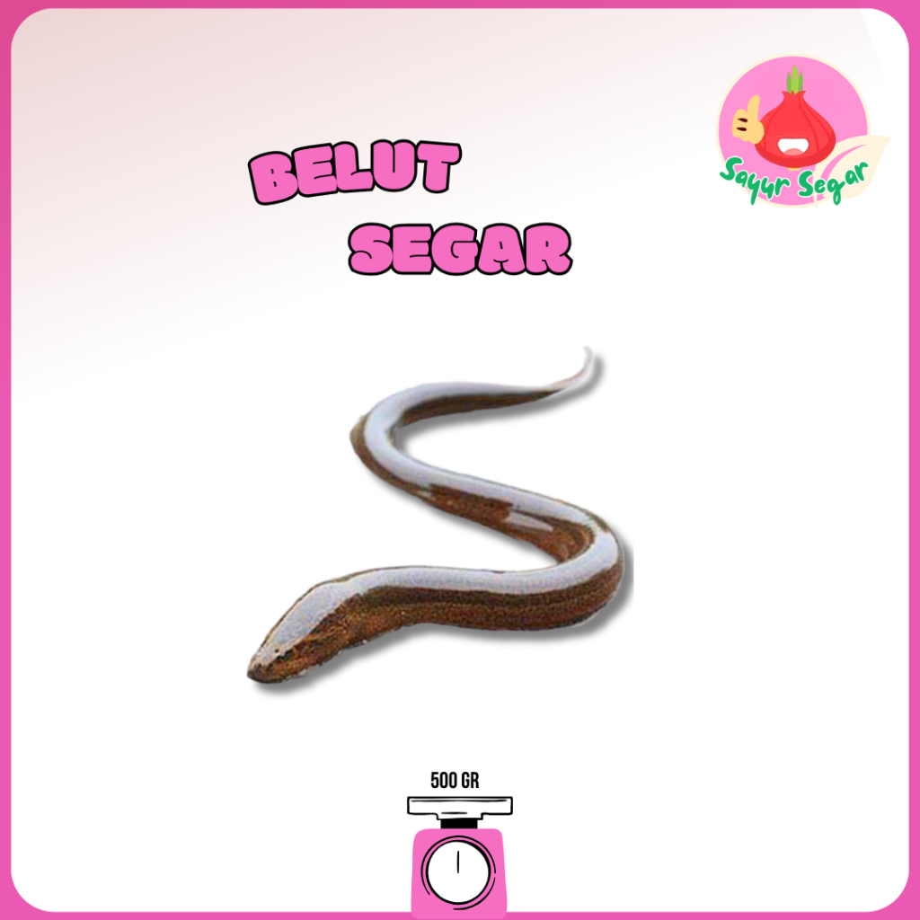 

Sayur Segar - Belut Segar/Fresh Eel 500gr