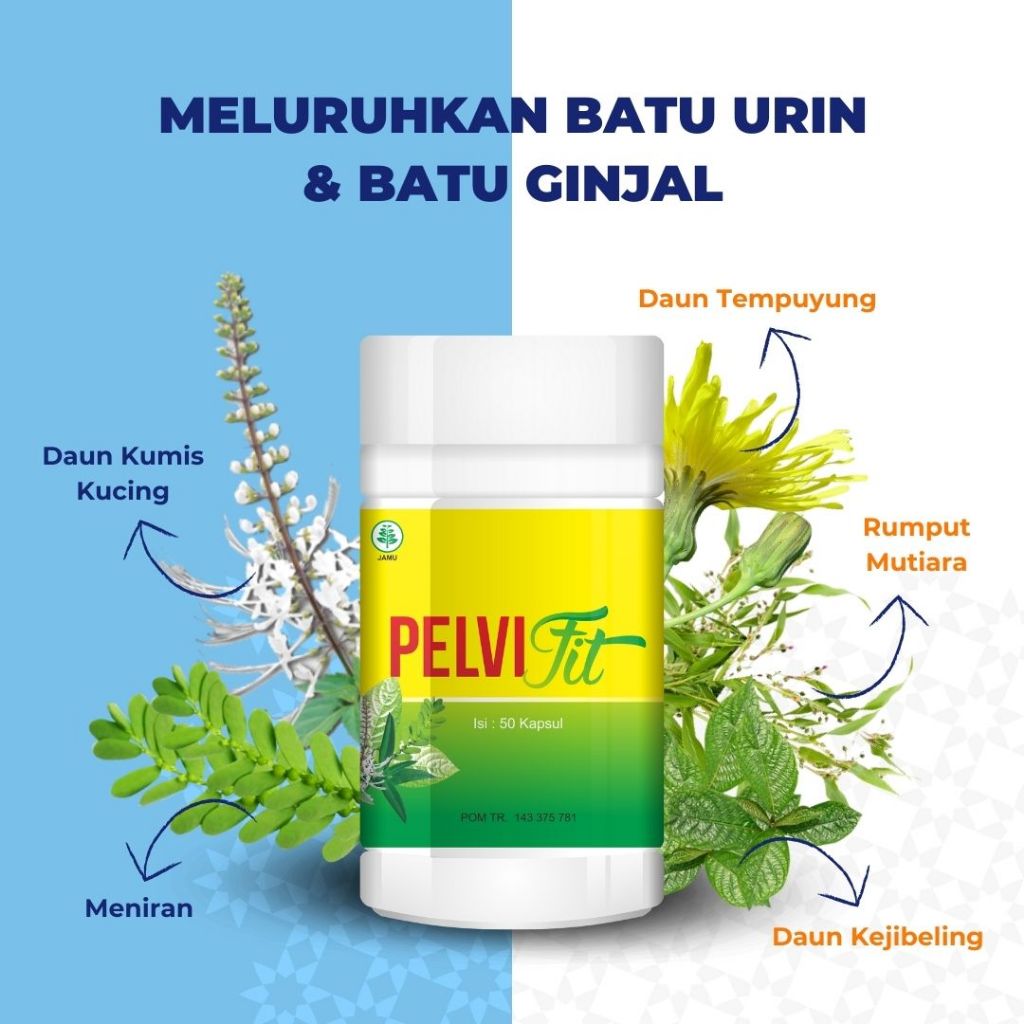 PELVIFIT Obat Herbal Mengobati Batu Empedu, Menghacurkan Batu Ginjal, Sakit ginjal, Cuci Ginjal