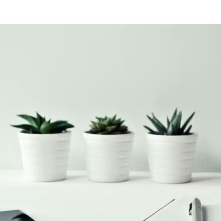 Tanaman Hiasan Kecil