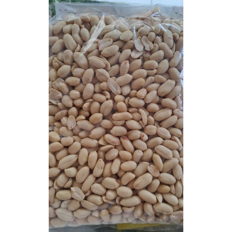 

KACANG KUPAS JUMBO 1KG